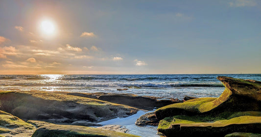 The Power of Reflection