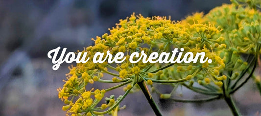 You are creation.