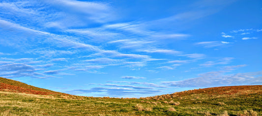 Reigniting Your Spark After Burnout