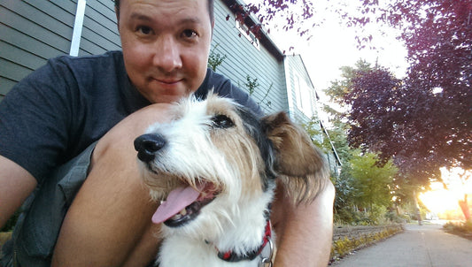 How Dogs Saved My Life