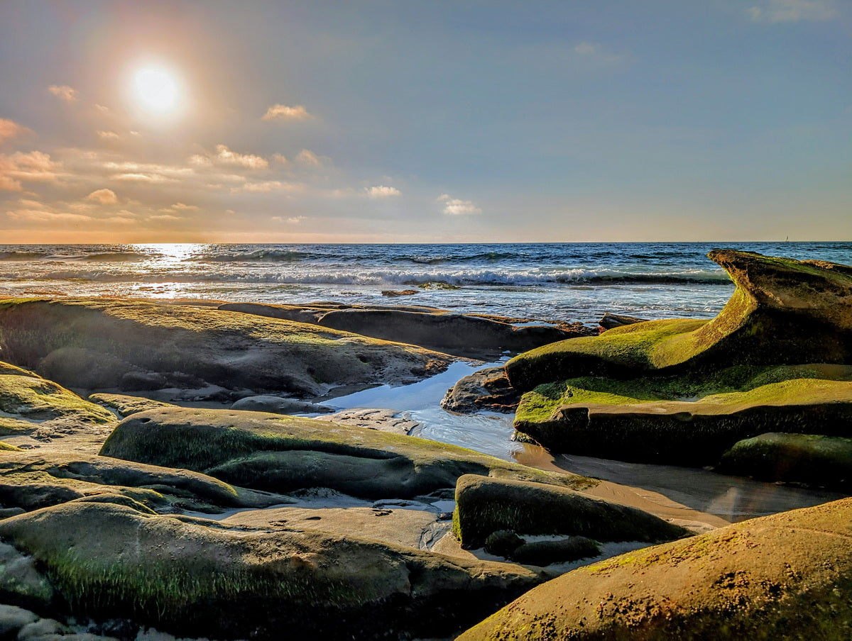 Sol Surfer Canvas Print