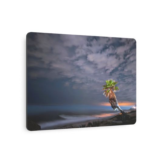 Midnight Palm - Metal Coastal Print