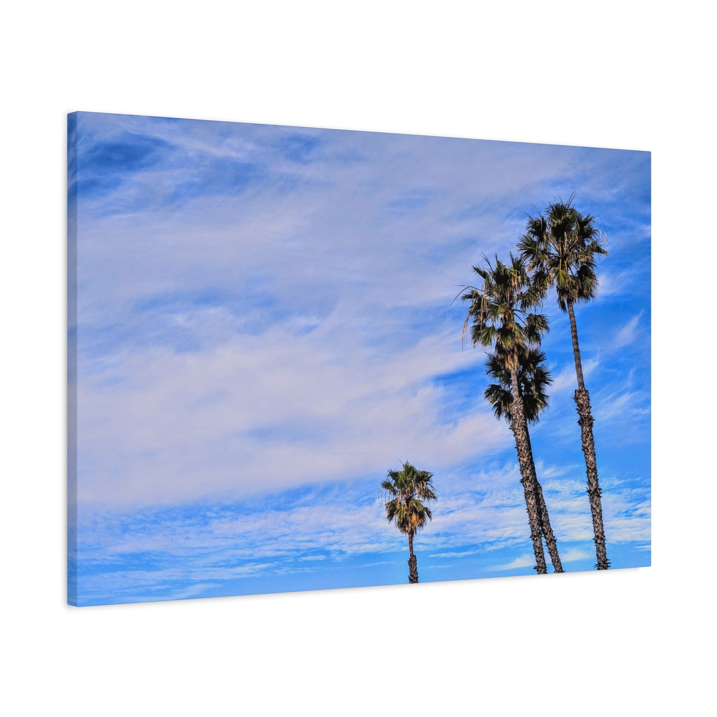 Palm Family Canvas Wall Art Print