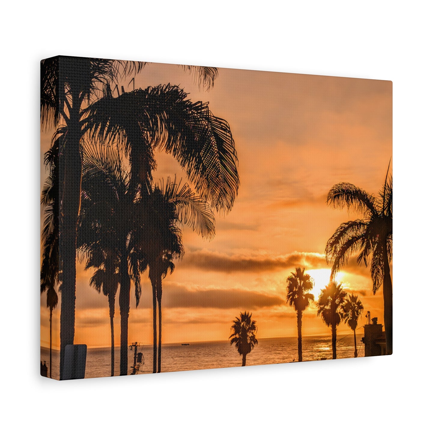 Between the Palms Canvas Wall Art Print