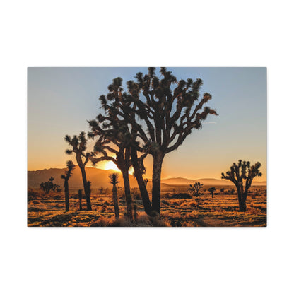 Joshua Glow Canvas Wall Art Print