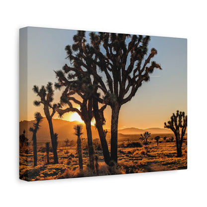 Joshua Glow Canvas Wall Art Print