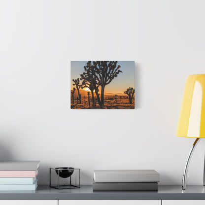 Joshua Glow Canvas Wall Art Print
