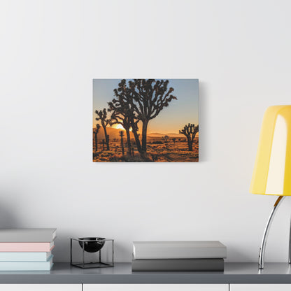 Joshua Glow Canvas Wall Art Print