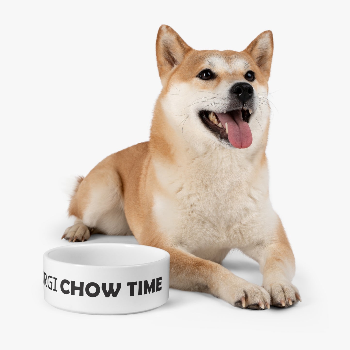 Corgi Chow Time Pet Bowl