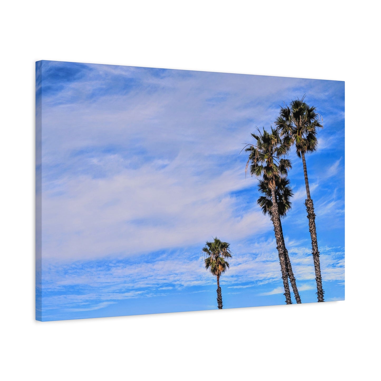 Palm Family Canvas Wall Art Print