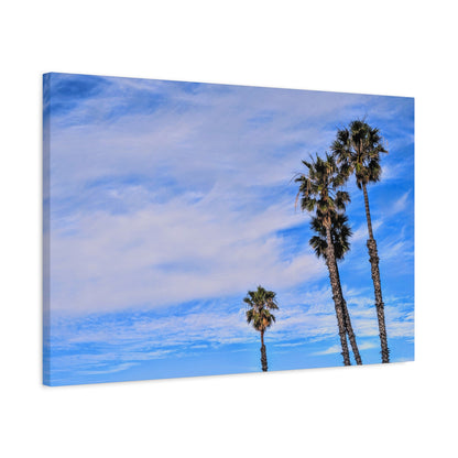 Palm Family Canvas Wall Art Print