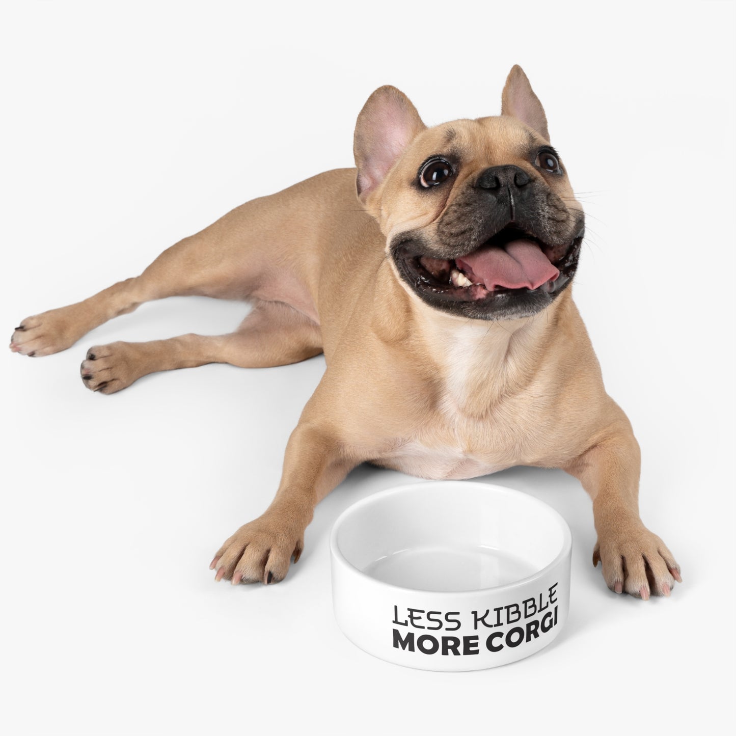 Less Kibble, More Corgi Pet Bowl