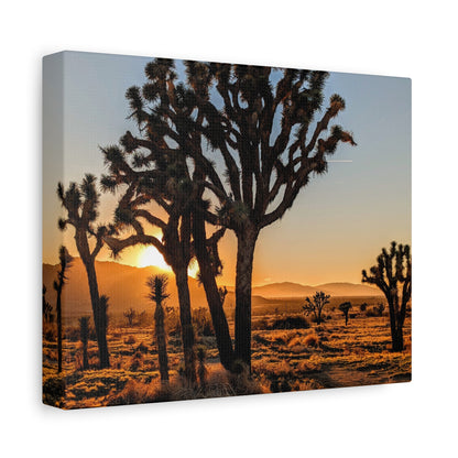 Joshua Glow Canvas Wall Art Print