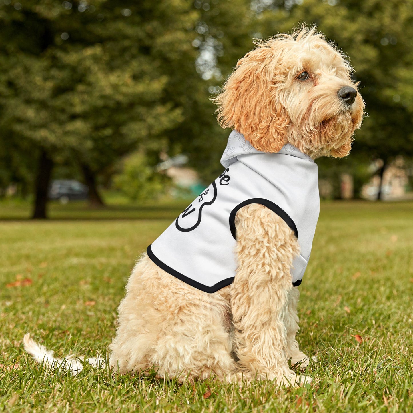 Chase The Now - Pet Hoodie
