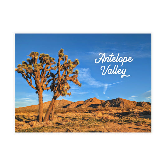 Twilight Peak Postcard Pack