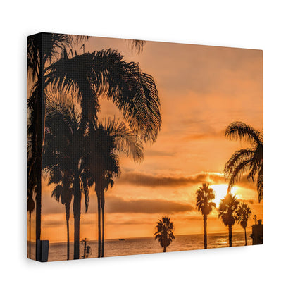 Between the Palms Canvas Wall Art Print