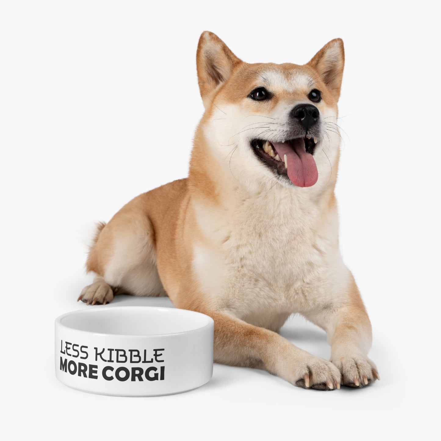 Less Kibble, More Corgi Pet Bowl