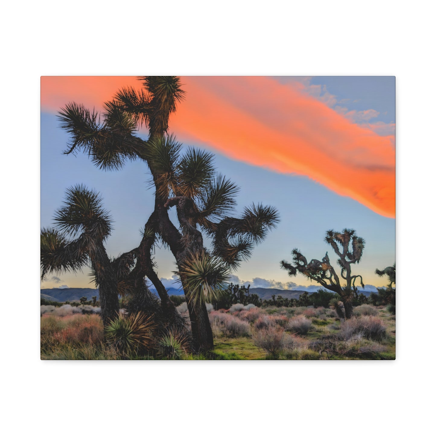 Desert Reflections Canvas Wall Art Print