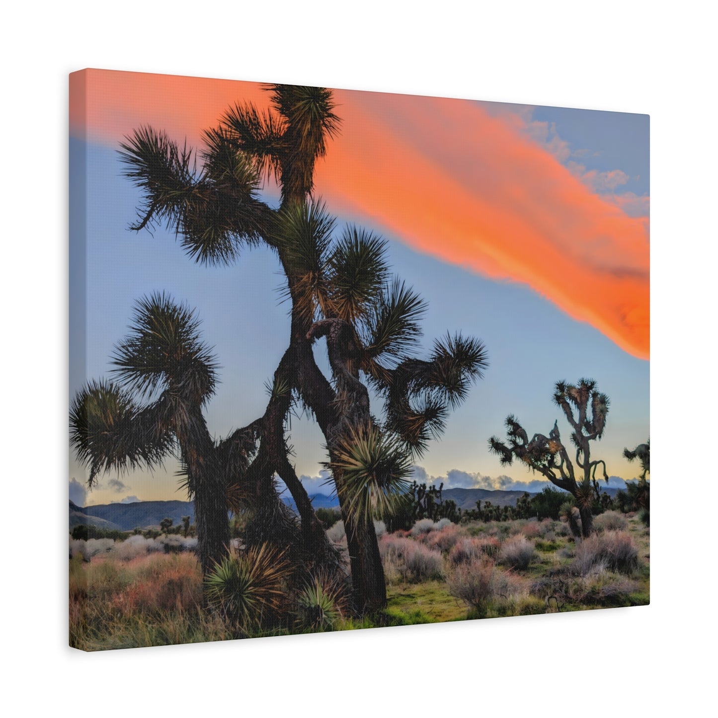 Desert Reflections Canvas Wall Art Print