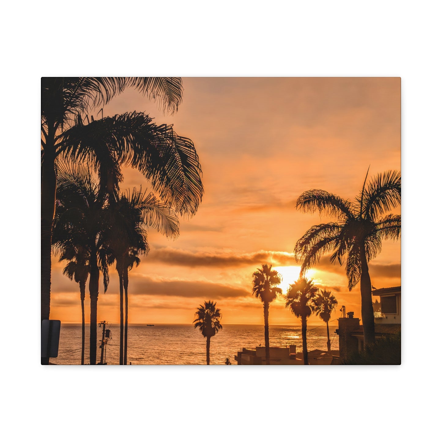 Between the Palms Canvas Wall Art Print
