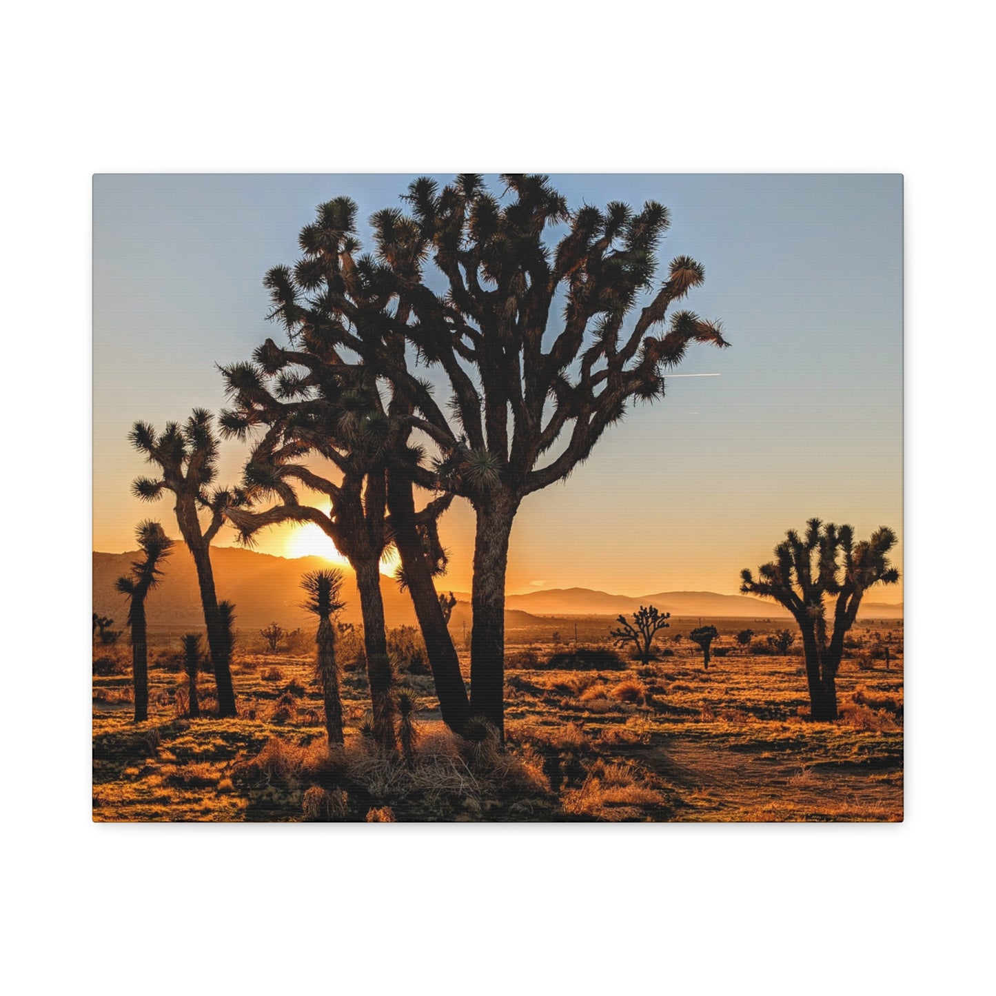Joshua Glow Canvas Wall Art Print