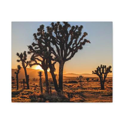 Joshua Glow Canvas Wall Art Print