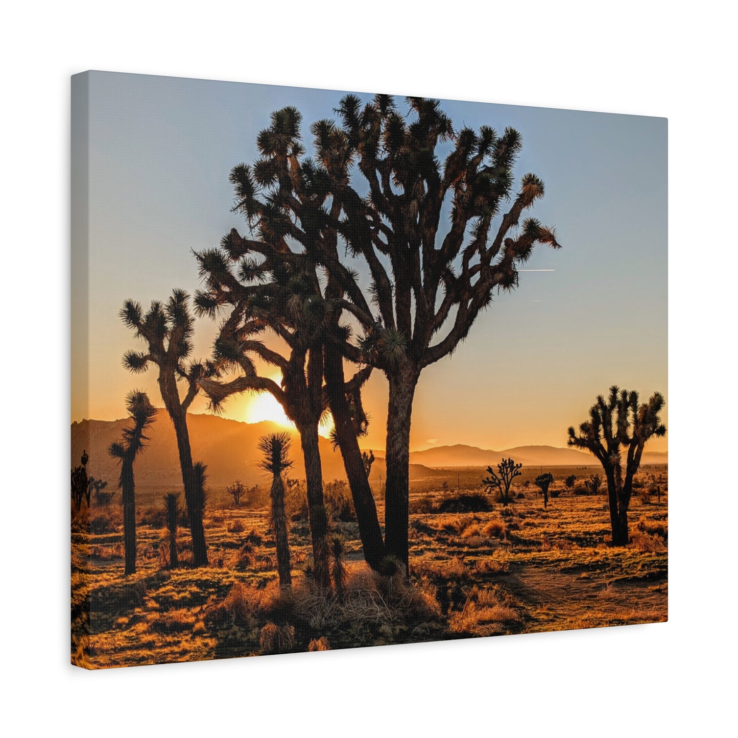 Joshua Glow Canvas Wall Art Print