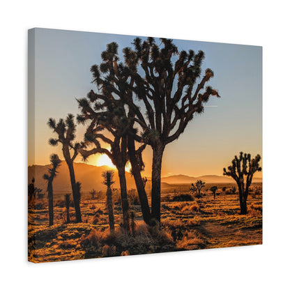 Joshua Glow Canvas Wall Art Print