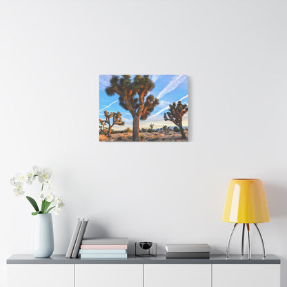 Joshua Trifecta Canvas Wall Art Print