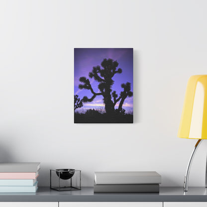 Joshua Rain Canvas Wall Art Print