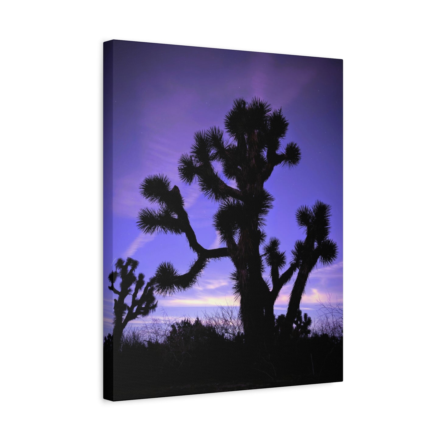 Joshua Rain Canvas Wall Art Print