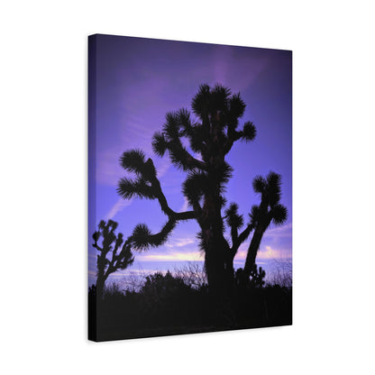 Joshua Rain Canvas Wall Art Print