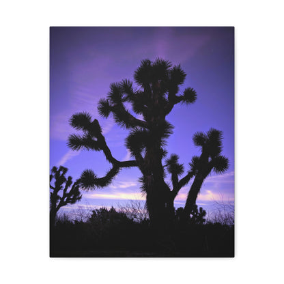 Joshua Rain Canvas Wall Art Print
