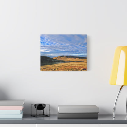Golden Antelope Hour Canvas Wall Art Print