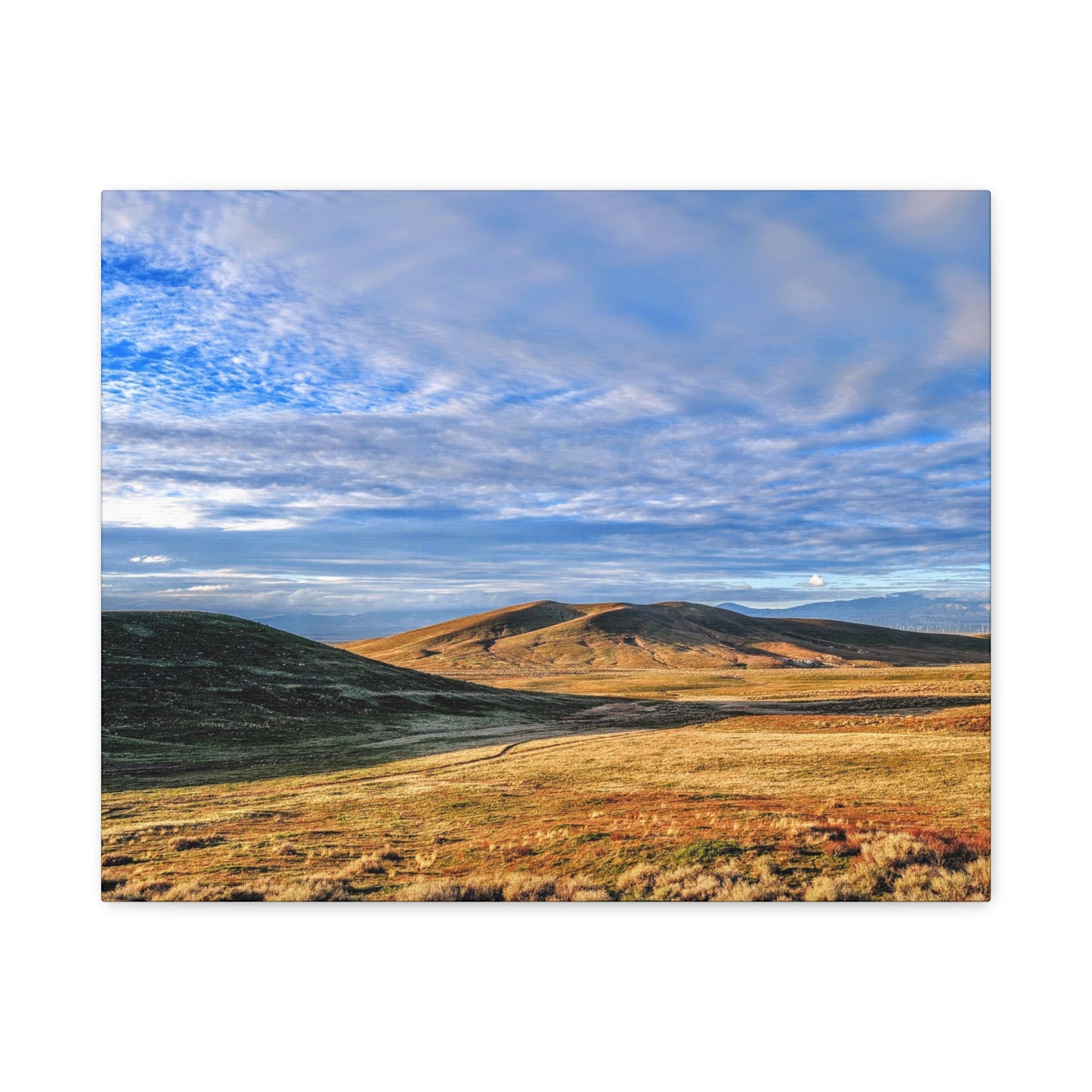 Golden Antelope Hour Canvas Wall Art Print