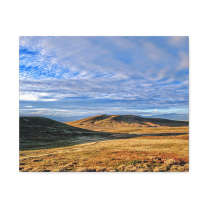 Golden Antelope Hour Canvas Wall Art Print