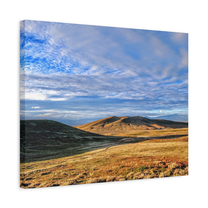 Golden Antelope Hour Canvas Wall Art Print