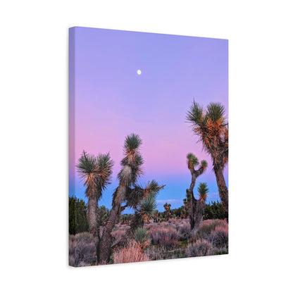 Twilight Haze Canvas Wall Art Print