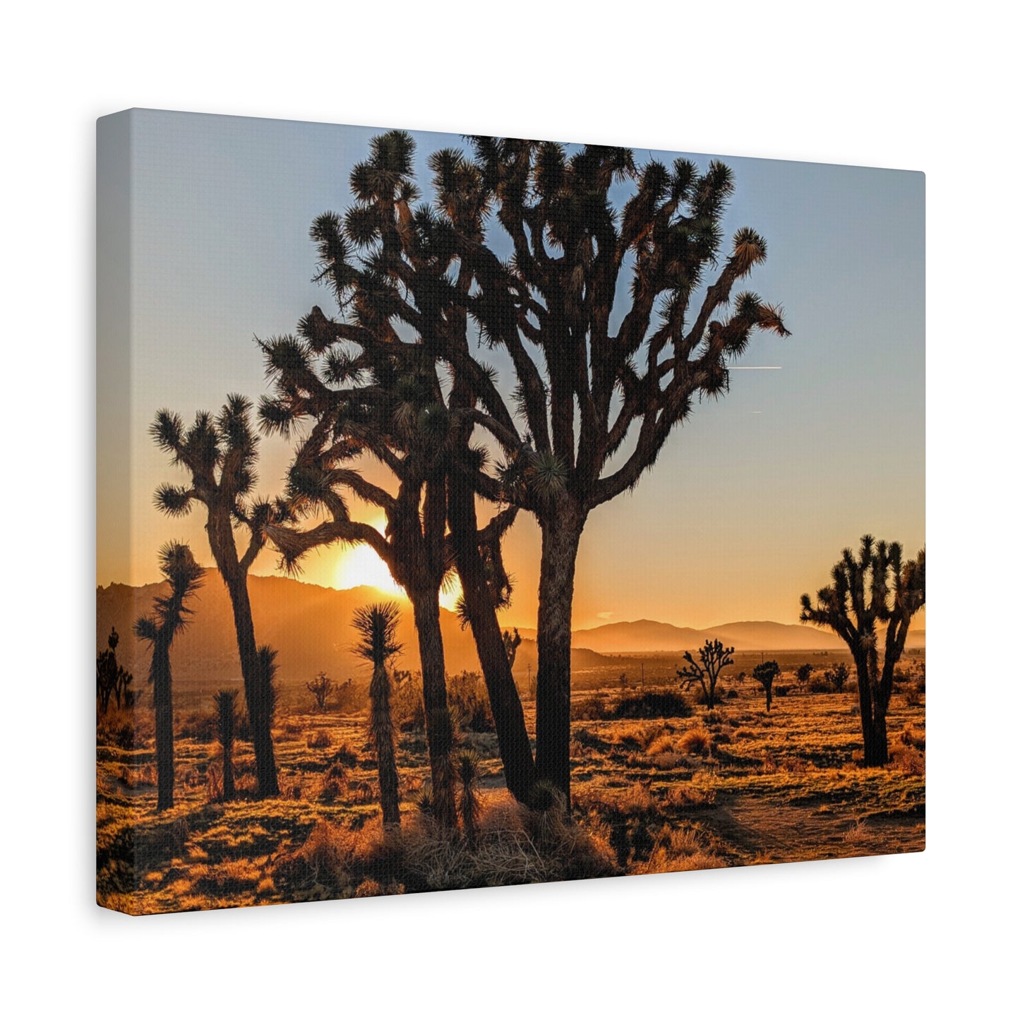 Joshua Glow Canvas Wall Art Print
