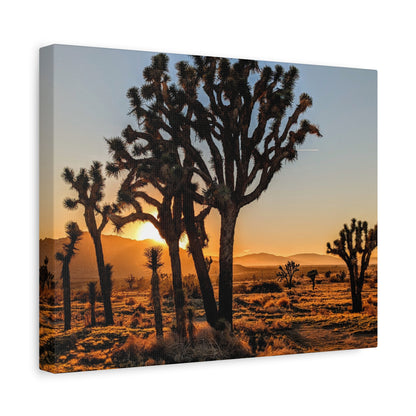 Joshua Glow Canvas Wall Art Print