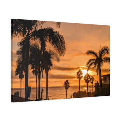 Between the Palms Canvas Wall Art Print