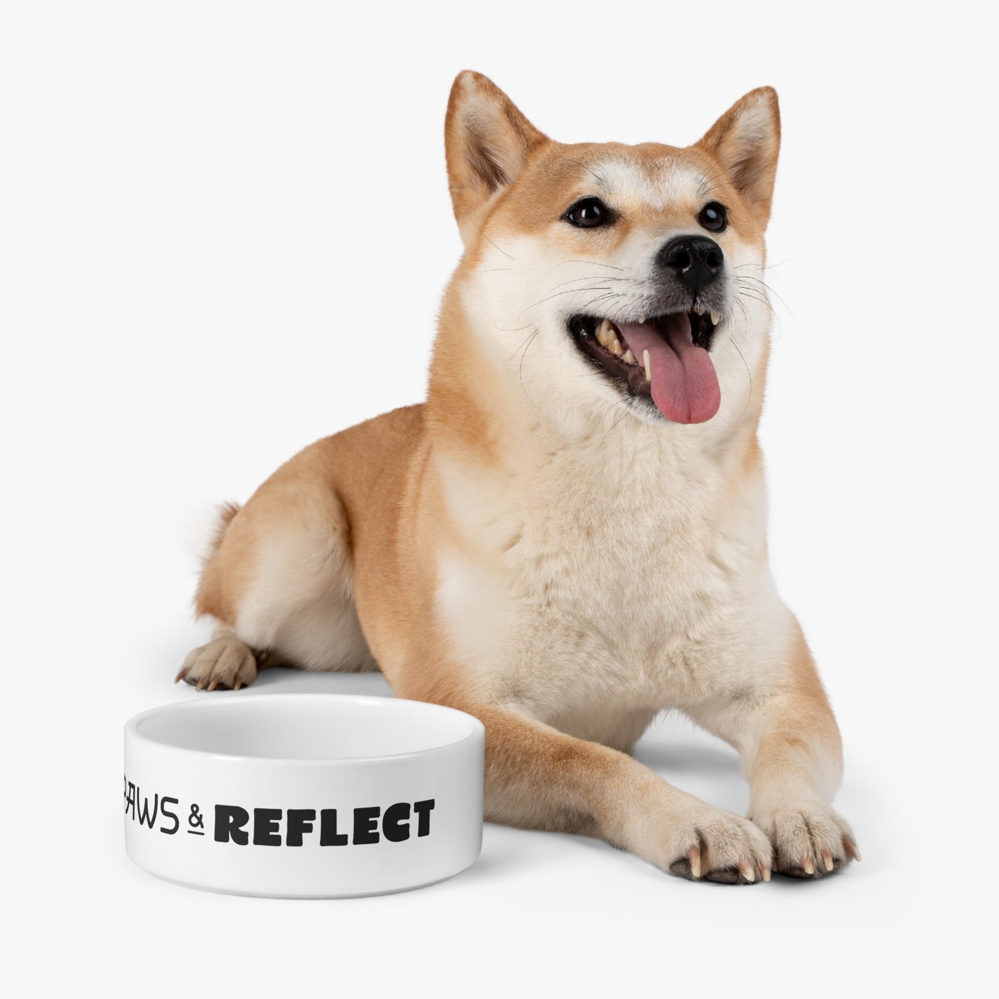 Paws And Reflect Pet Bowl