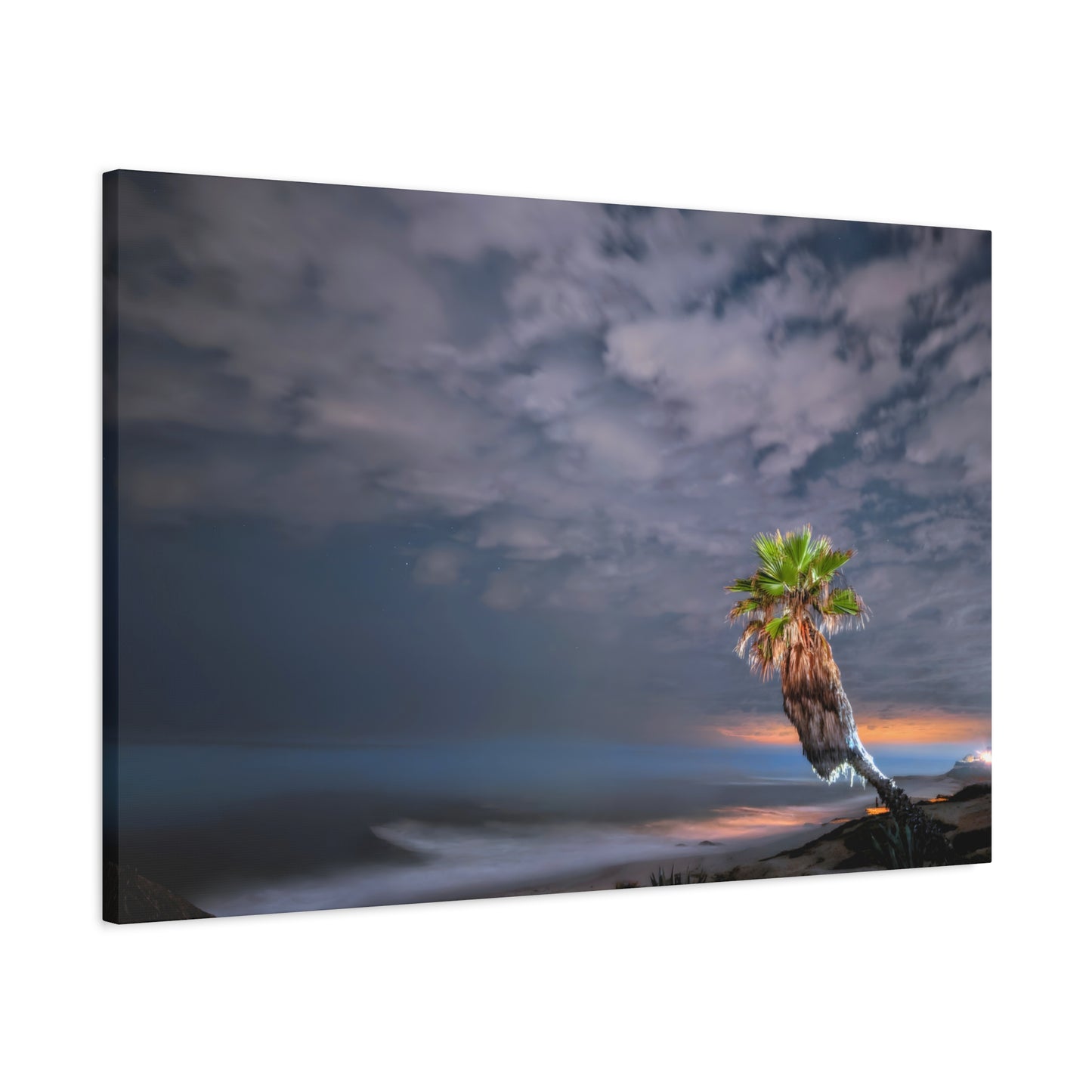 Midnight Palm Canvas Wall Art Print
