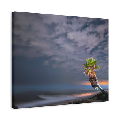 Midnight Palm Canvas Wall Art Print