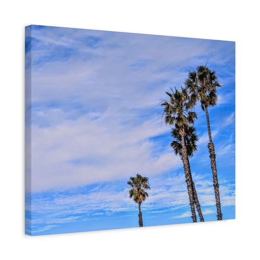 Palm Family Canvas Wall Art Print