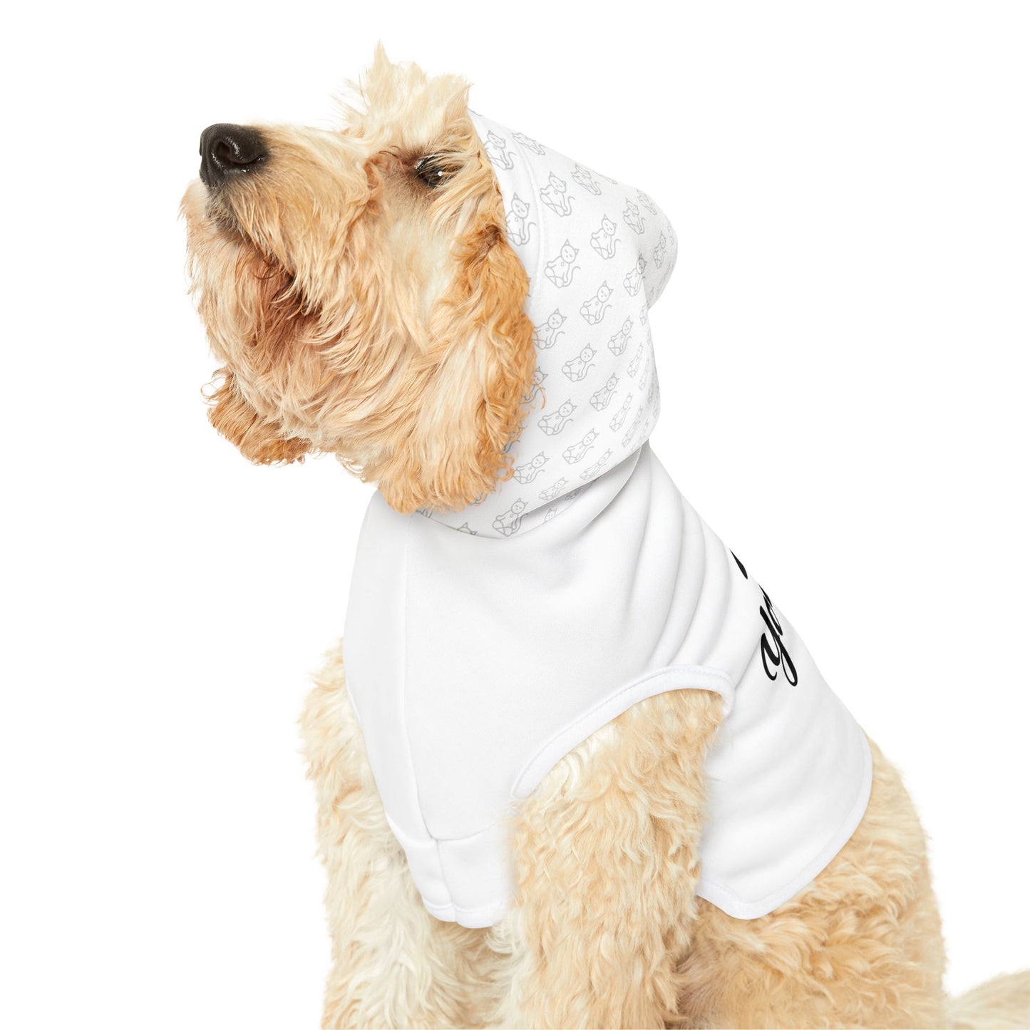 Wag Your Way - Pet Hoodie