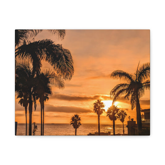 Between the Palms - Canvas Print
