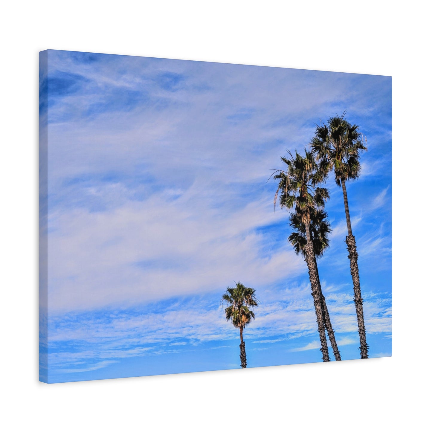 Palm Family Canvas Wall Art Print