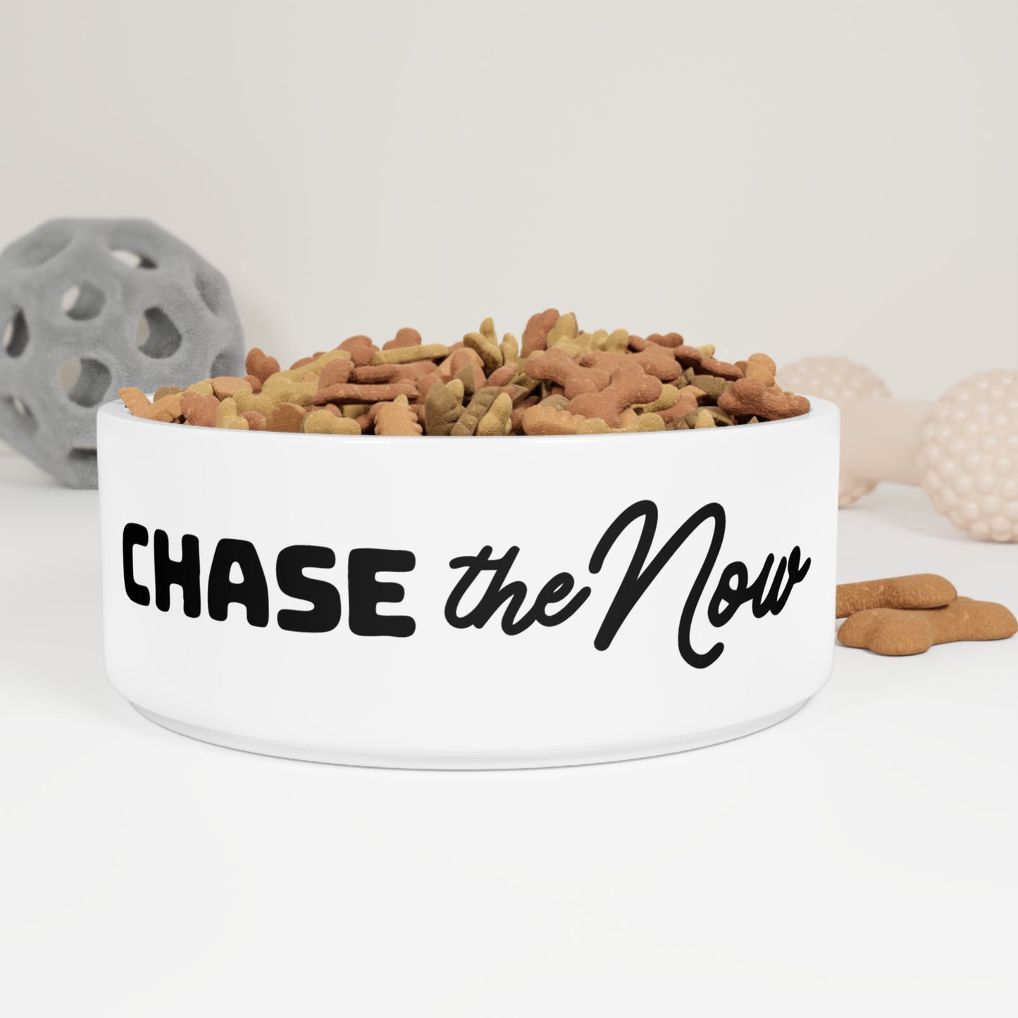 Chase the Now Pet Bowl