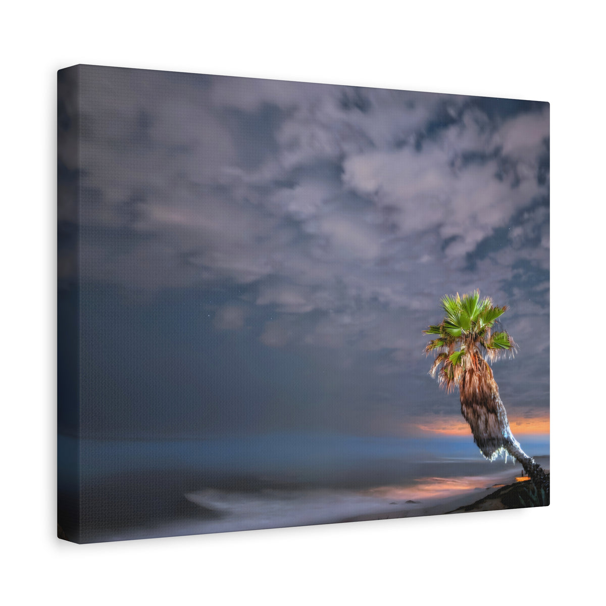 Midnight Palm Canvas Wall Art Print